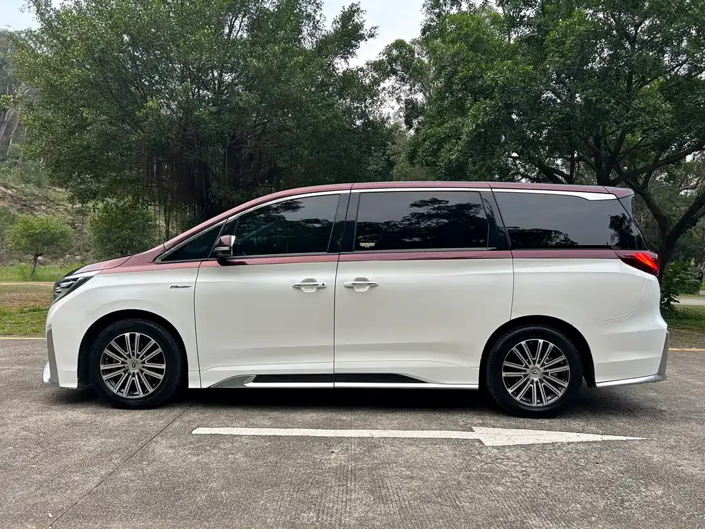 GAC Motor Trumpchi M8 2021 из CN, фото 4