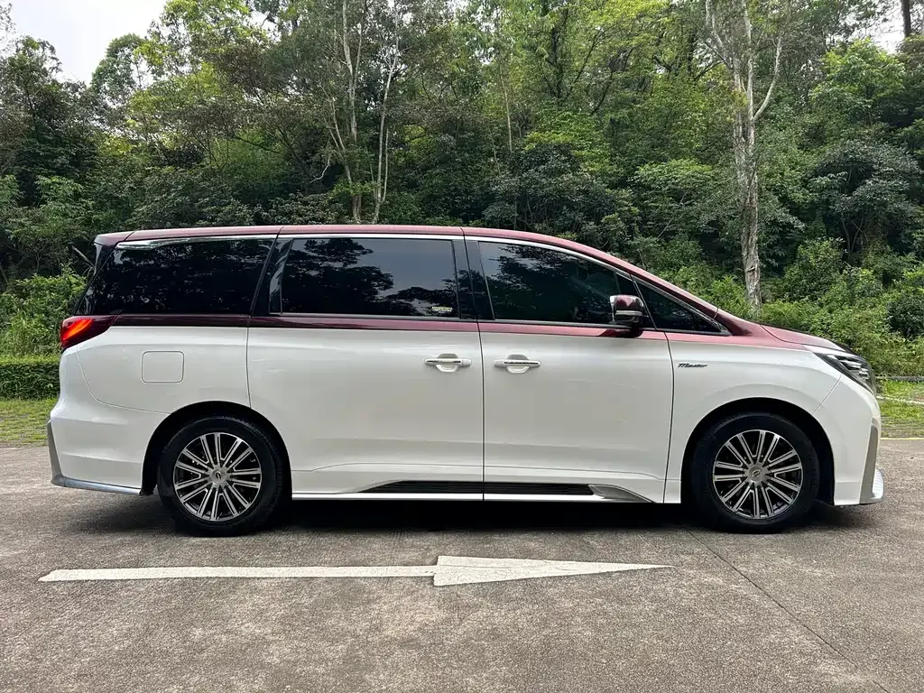 GAC Motor Trumpchi M8 2021 из CN, фото 8