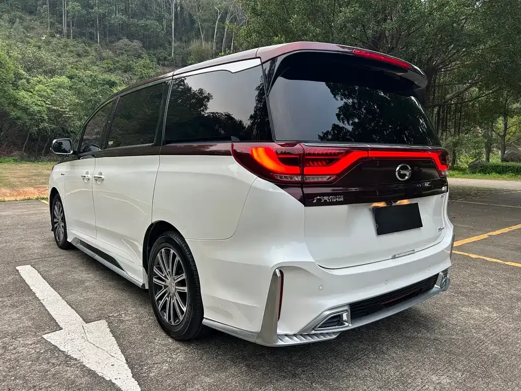 GAC Motor Trumpchi M8 2021 из CN, фото 6