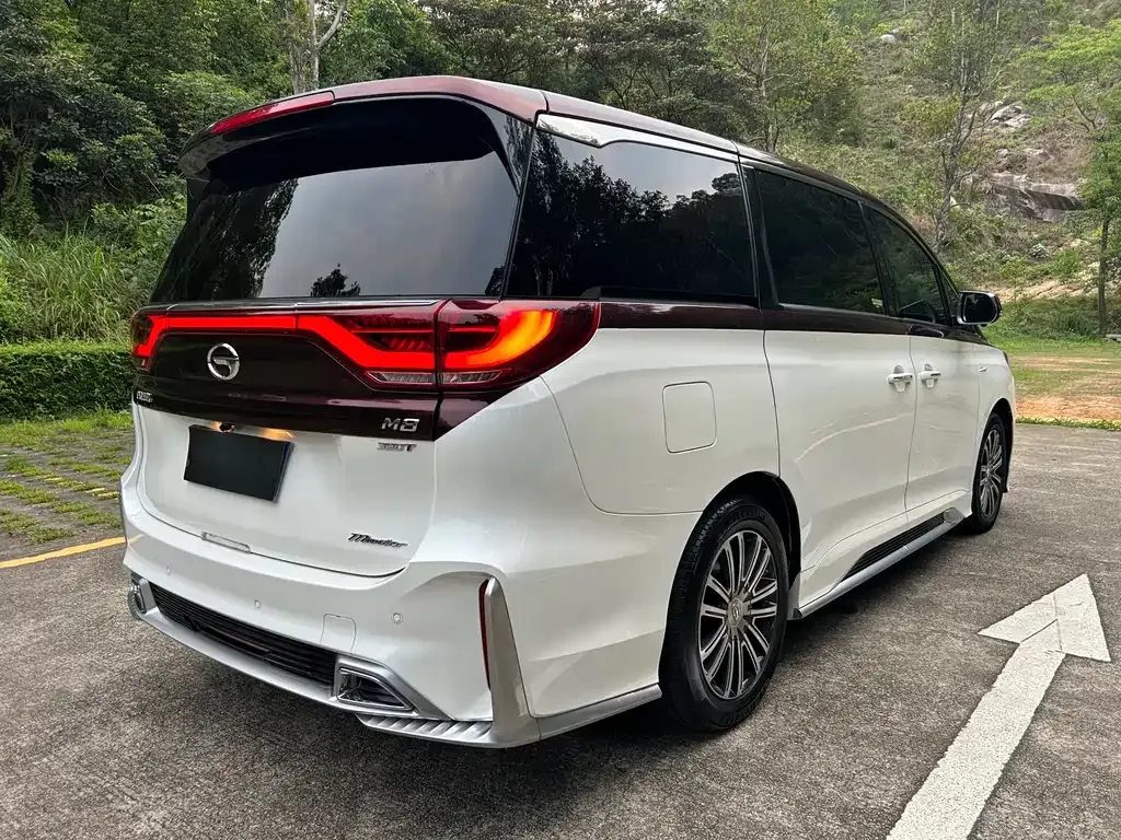 GAC Motor Trumpchi M8 2021 из CN, фото 7