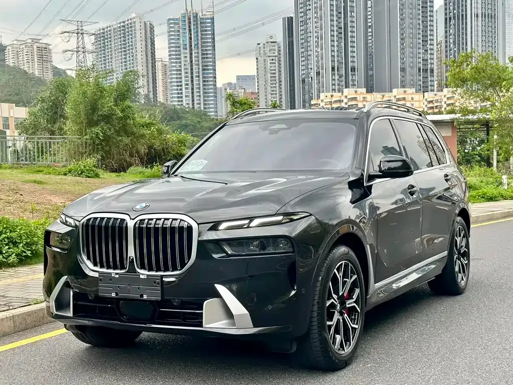 BMW X7 — фото 1