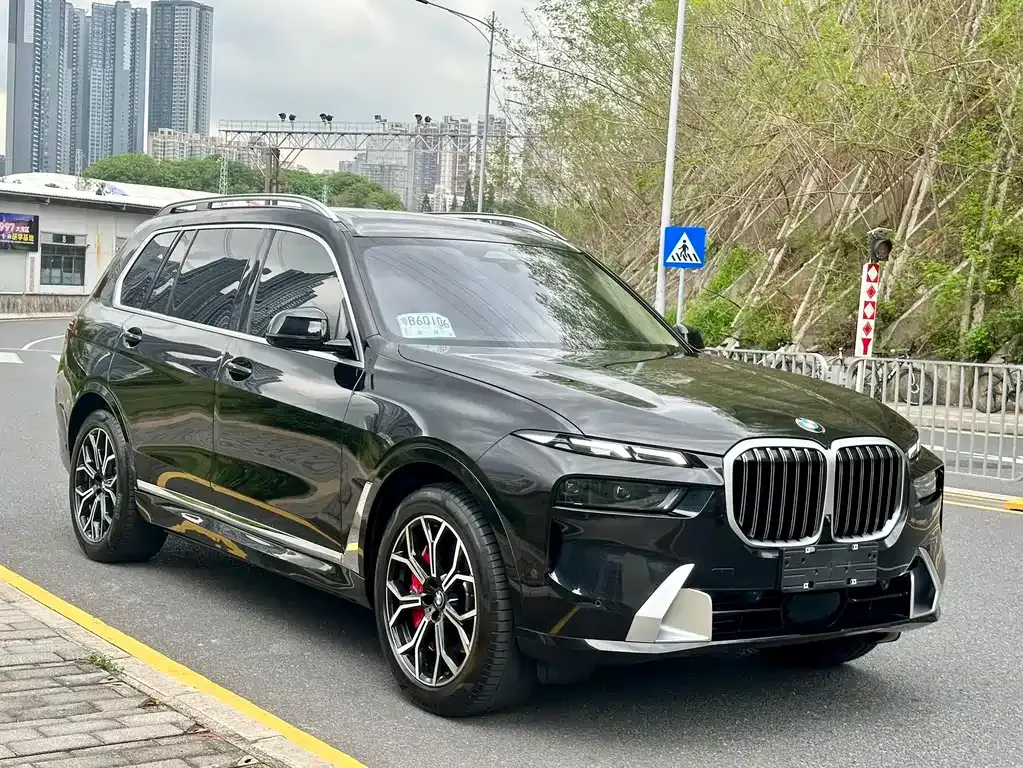 BMW X7 — фото 6