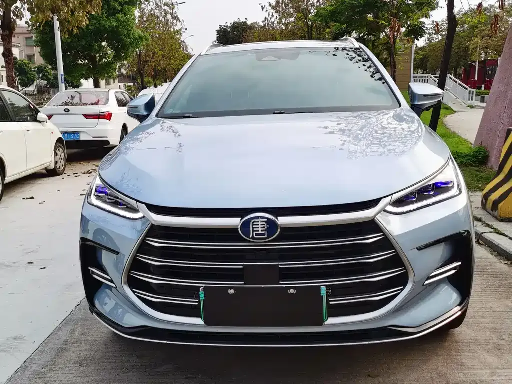BYD Tang New Energy 2023 из CN, фото 1