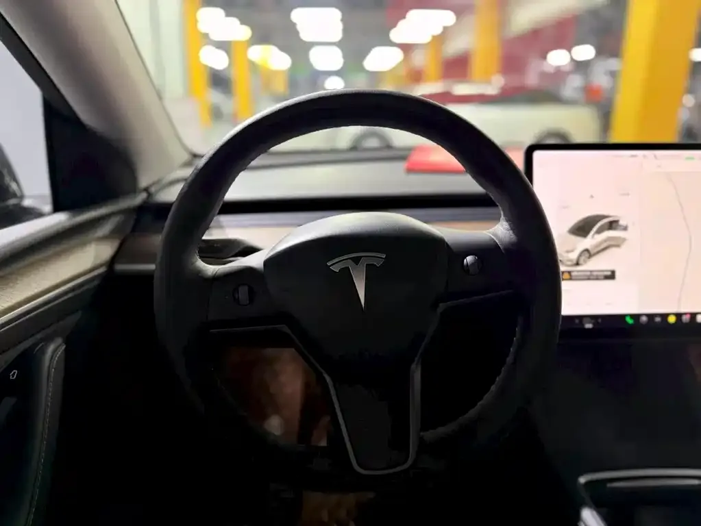 Tesla Model Y 2021 из CN, фото 10
