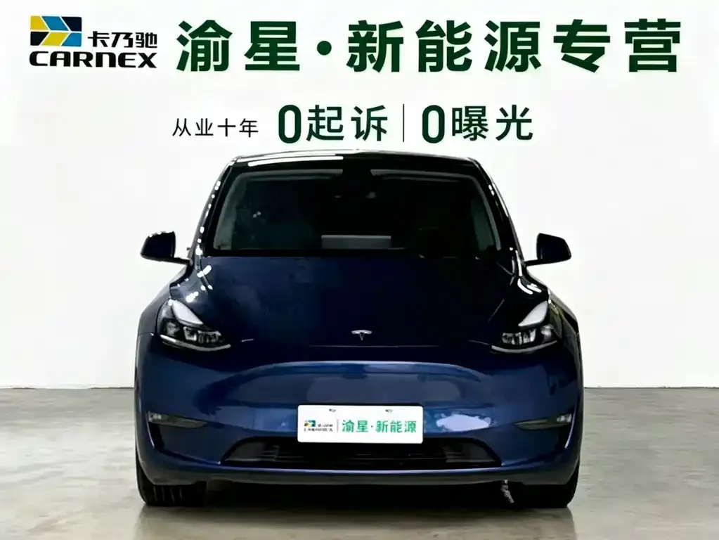 Tesla Model Y 2021 из CN, фото 9