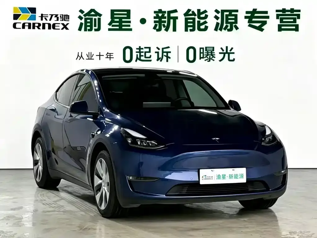 Tesla Model Y 2021 из CN, фото 3
