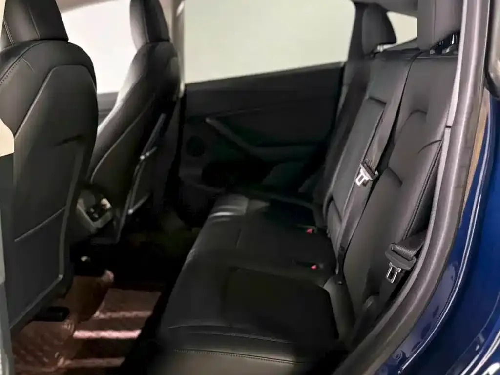 Tesla Model Y 2021 из CN, фото 6