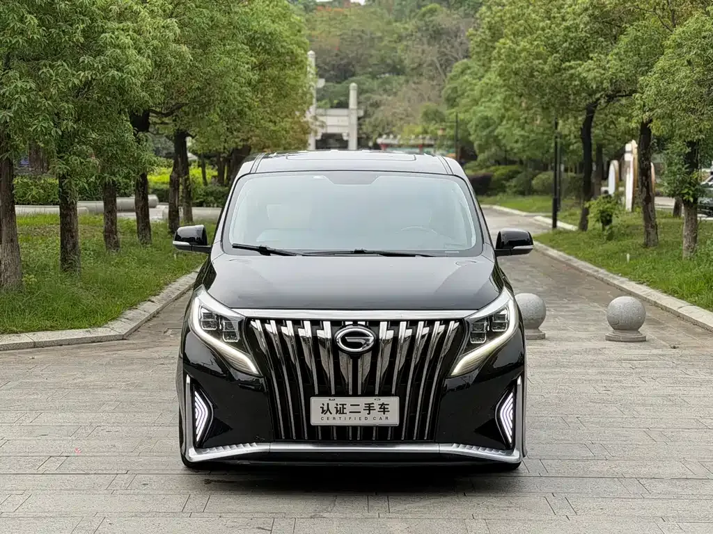 GAC Motor Trumpchi M8 2021 из CN, фото 5