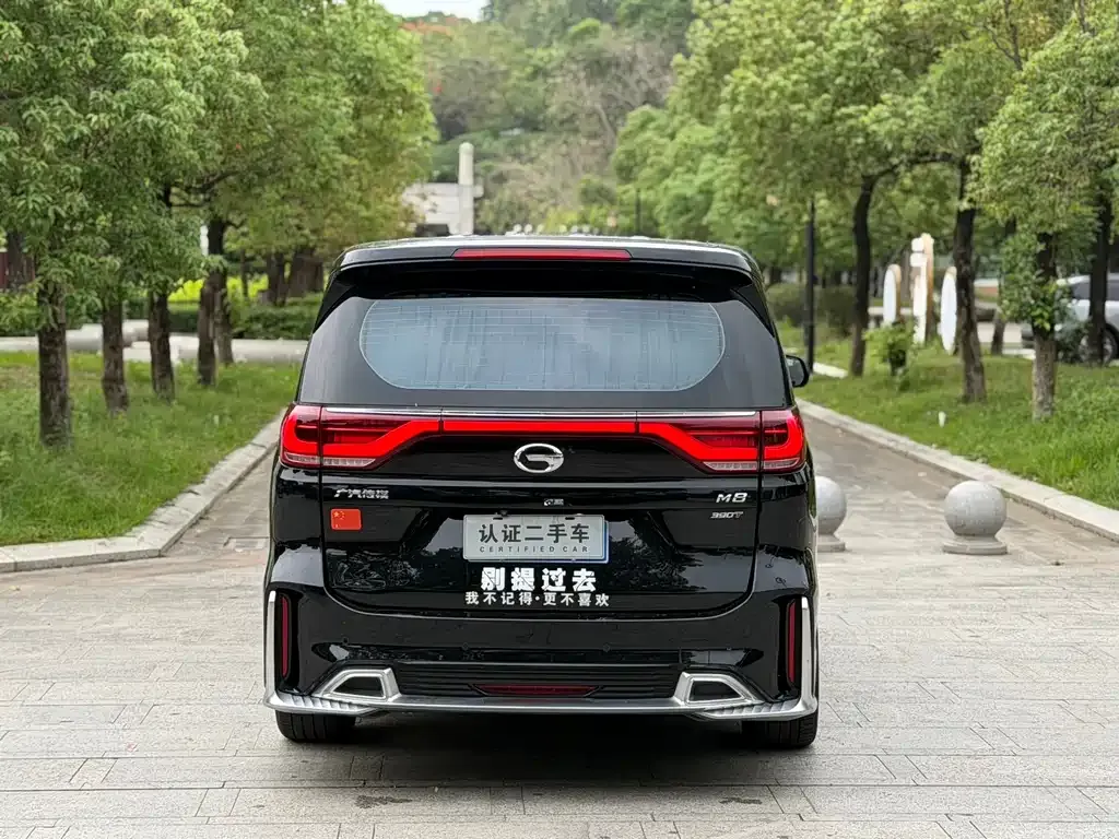 GAC Motor Trumpchi M8 2021 из CN, фото 6