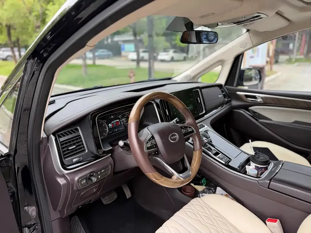 GAC Motor Trumpchi M8 2021 из CN, фото 7