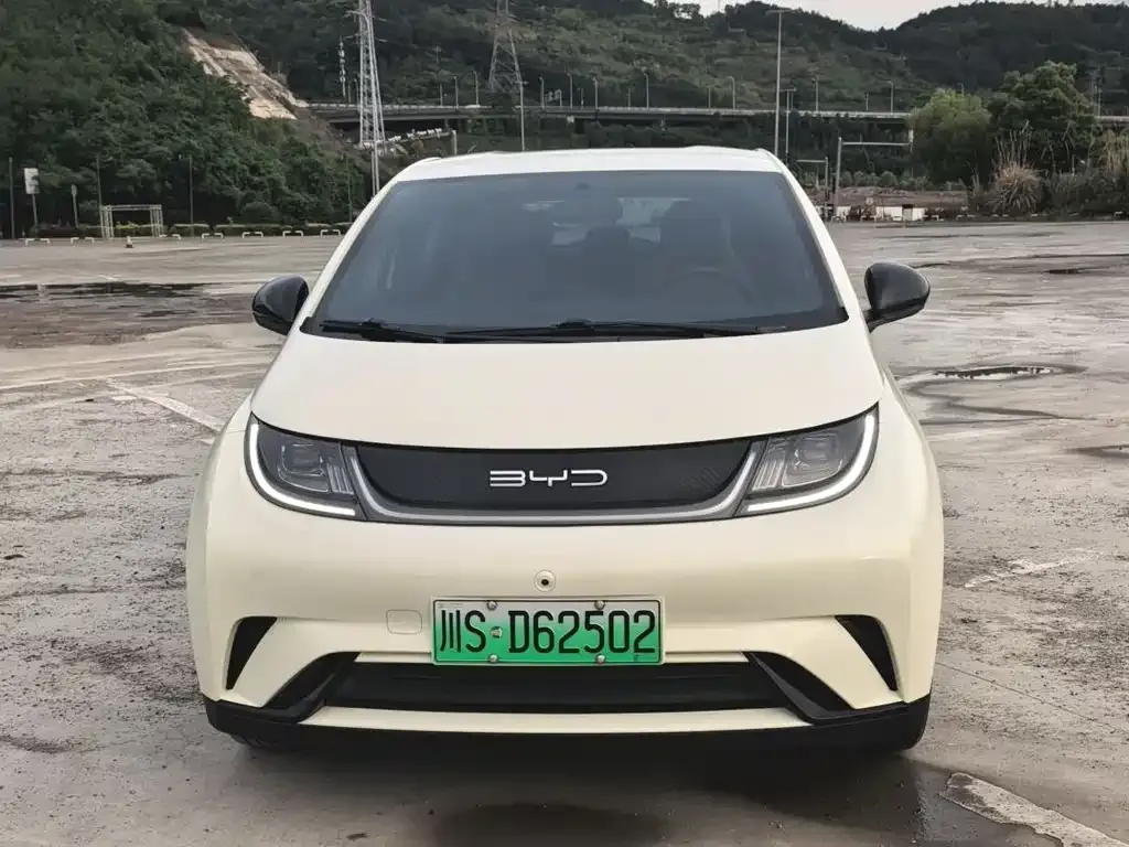BYD Dolphin 2024 из CN, фото 5