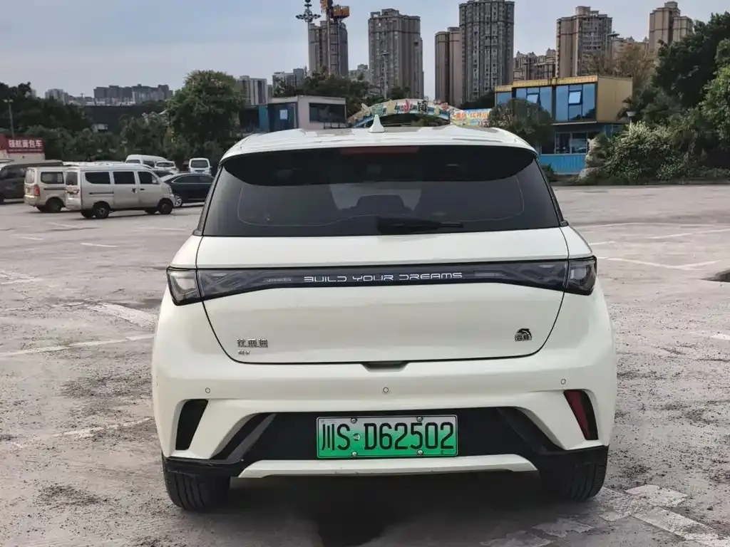 BYD Dolphin 2024 из CN, фото 4