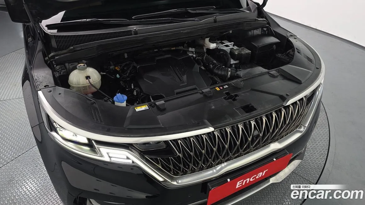 Kia Carnival — фото 10