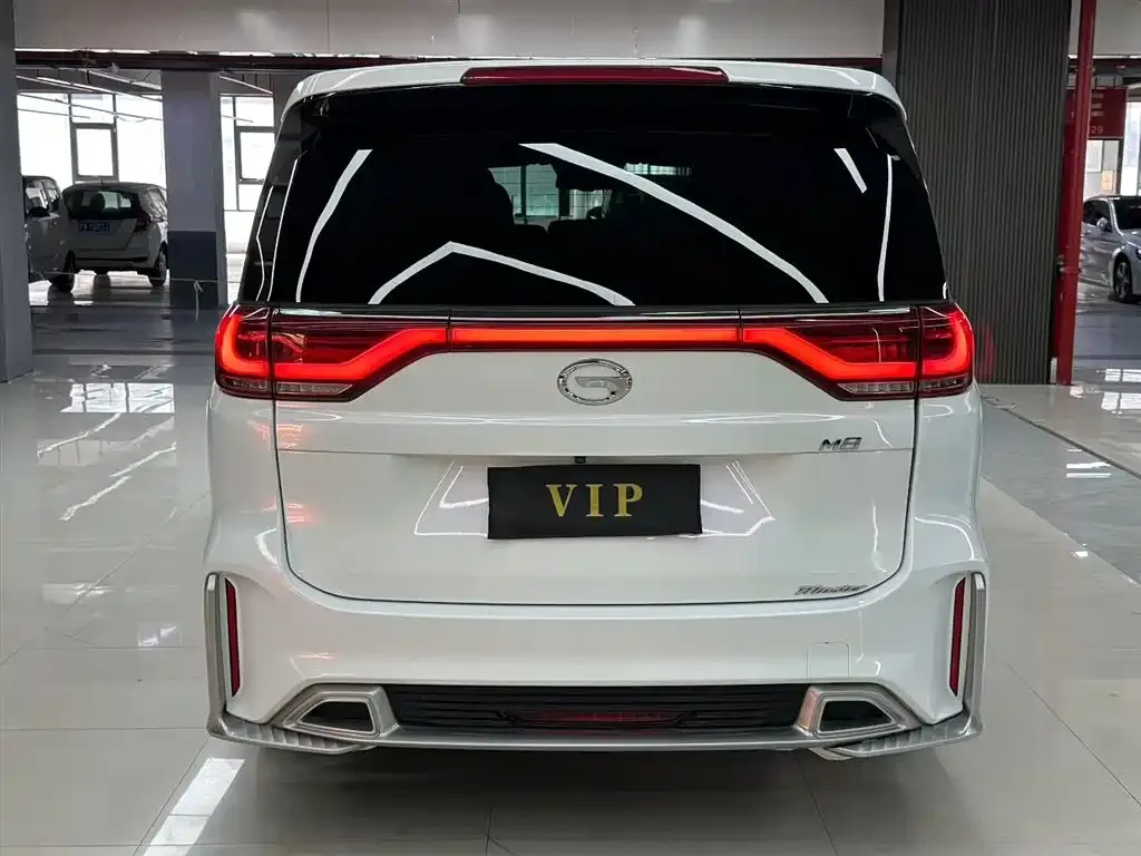 GAC Motor Trumpchi M8 2021 из CN, фото 6