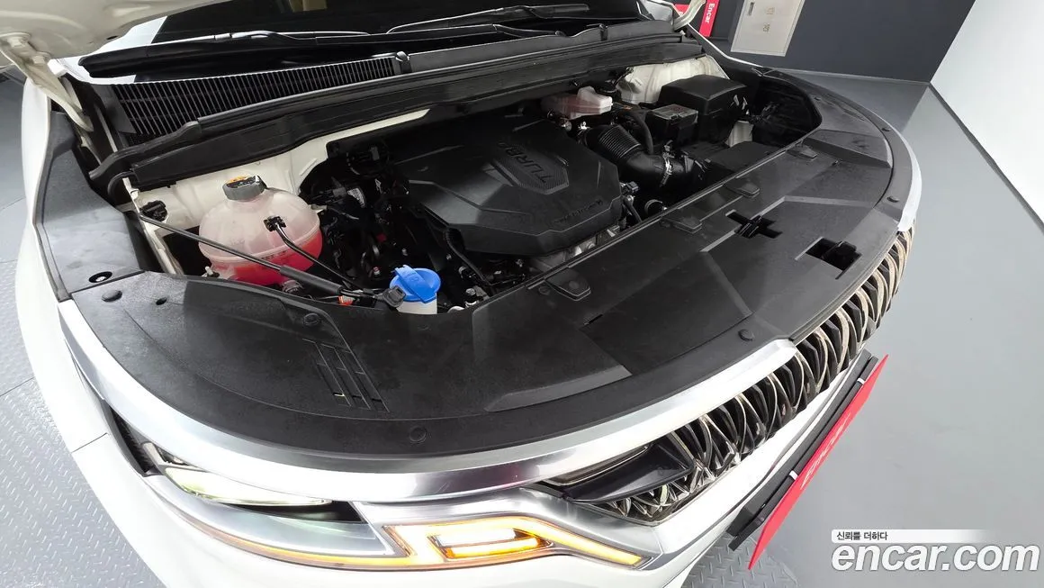 Kia Carnival — фото 10