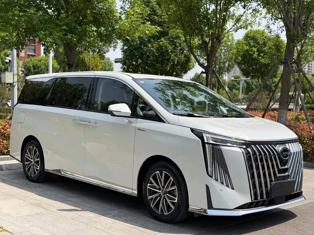 GAC Motor Trumpchi M8 2024 из CN, фото 5