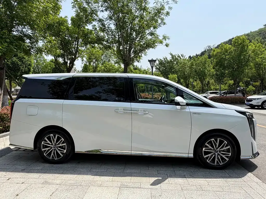 GAC Motor Trumpchi M8 2024 из CN, фото 6
