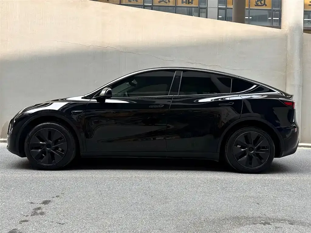 Tesla Model Y 2024 из CN, фото 6