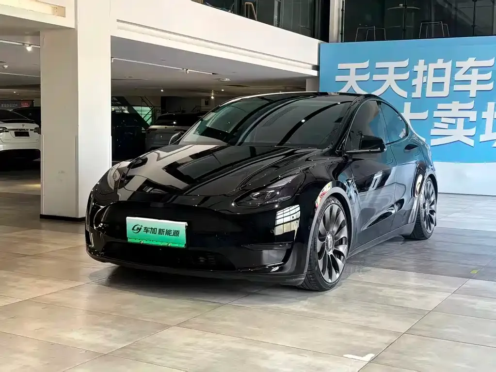 Tesla Model Y — фото 1