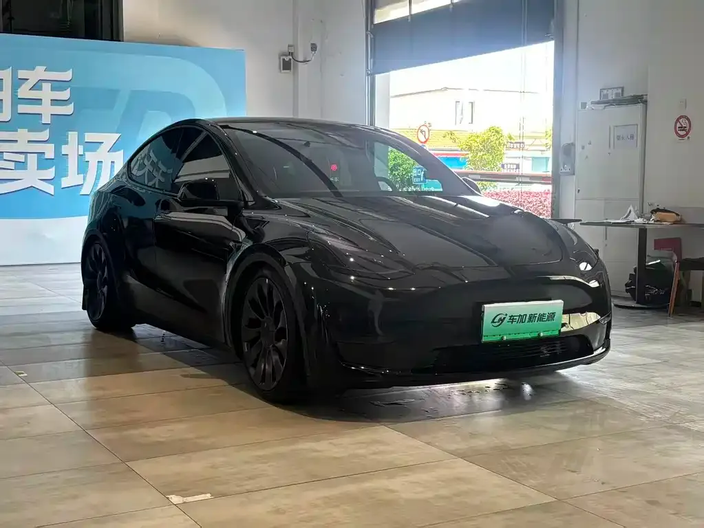 Tesla Model Y — фото 4