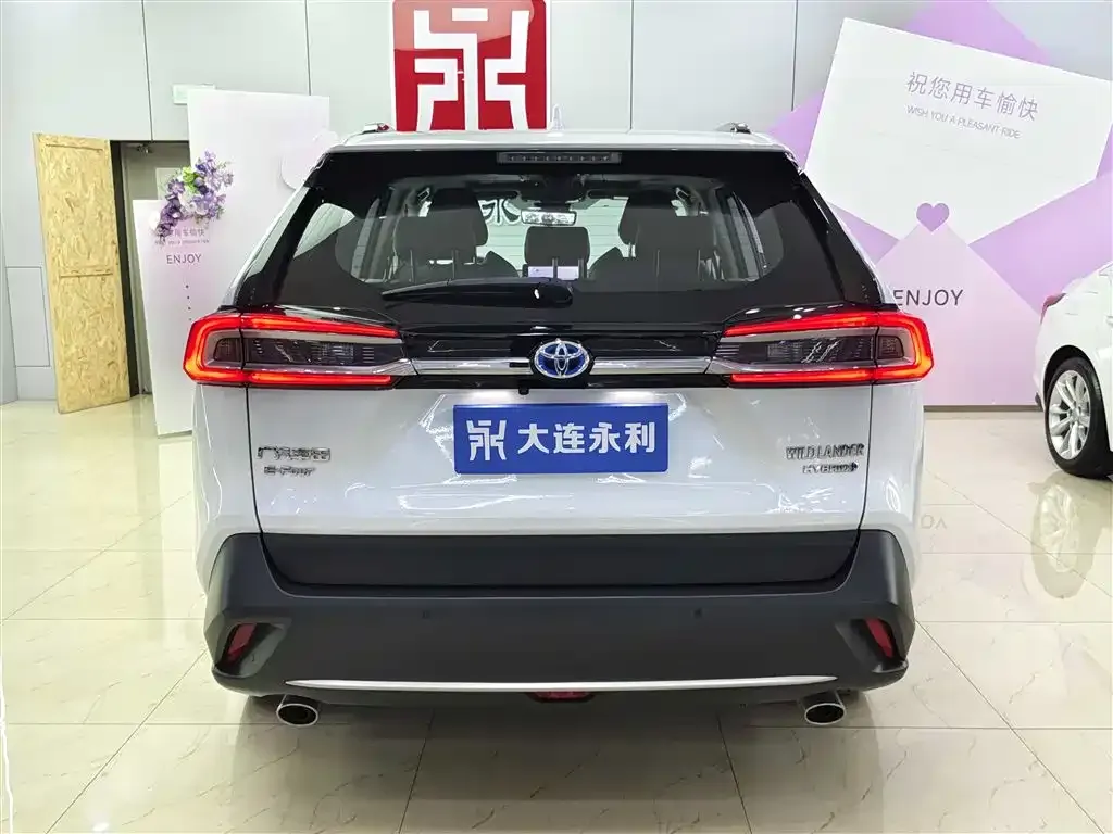 Toyota Wildlander 2023 из CN, фото 7