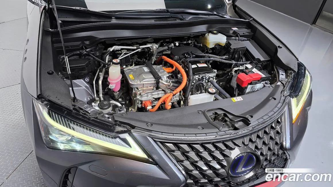 Lexus UX 2022 из KR, фото 9