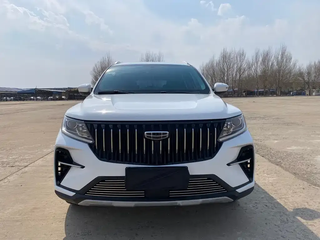 Geely Vision X6 2022 из CN, фото 5
