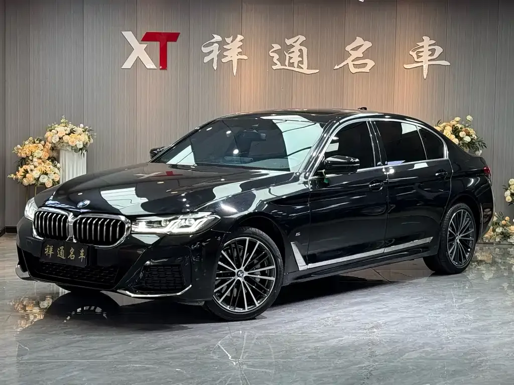 BMW 5 Series 2022 из CN, фото 1