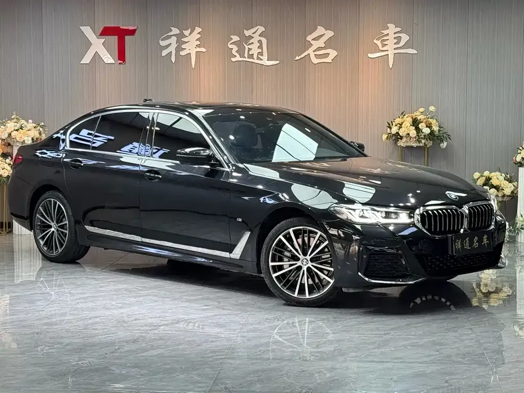 BMW 5 Series 2022 из CN, фото 8