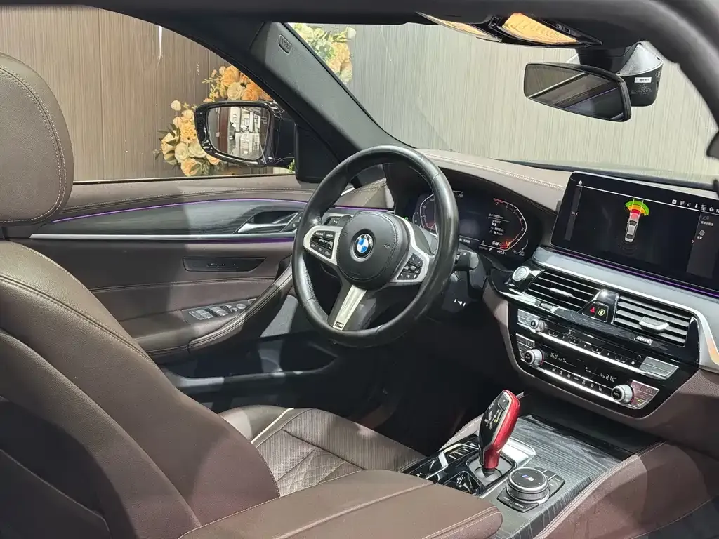 BMW 5 Series 2022 из CN, фото 10
