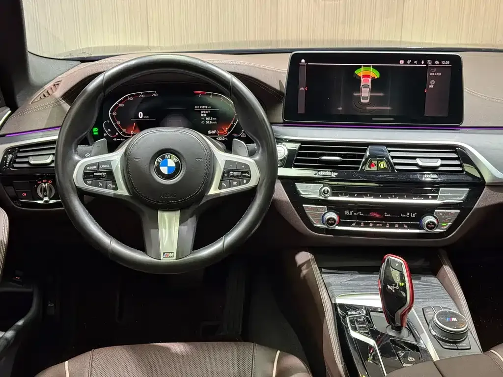 BMW 5 Series 2022 из CN, фото 6