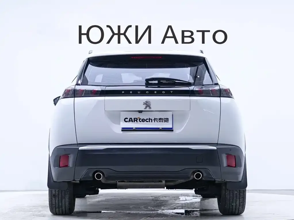 Peugeot 2008 2022 из CN, фото 7