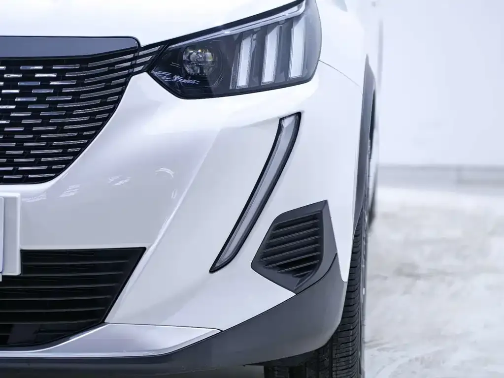 Peugeot 2008 2022 из CN, фото 2