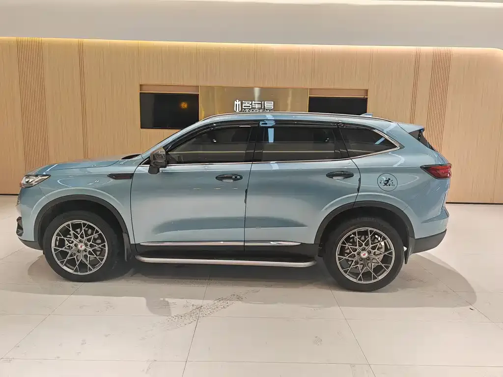 Haval H6 New Energy 2022 из CN, фото 10
