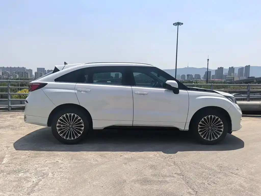 Honda Avancier 2024 из CN, фото 8