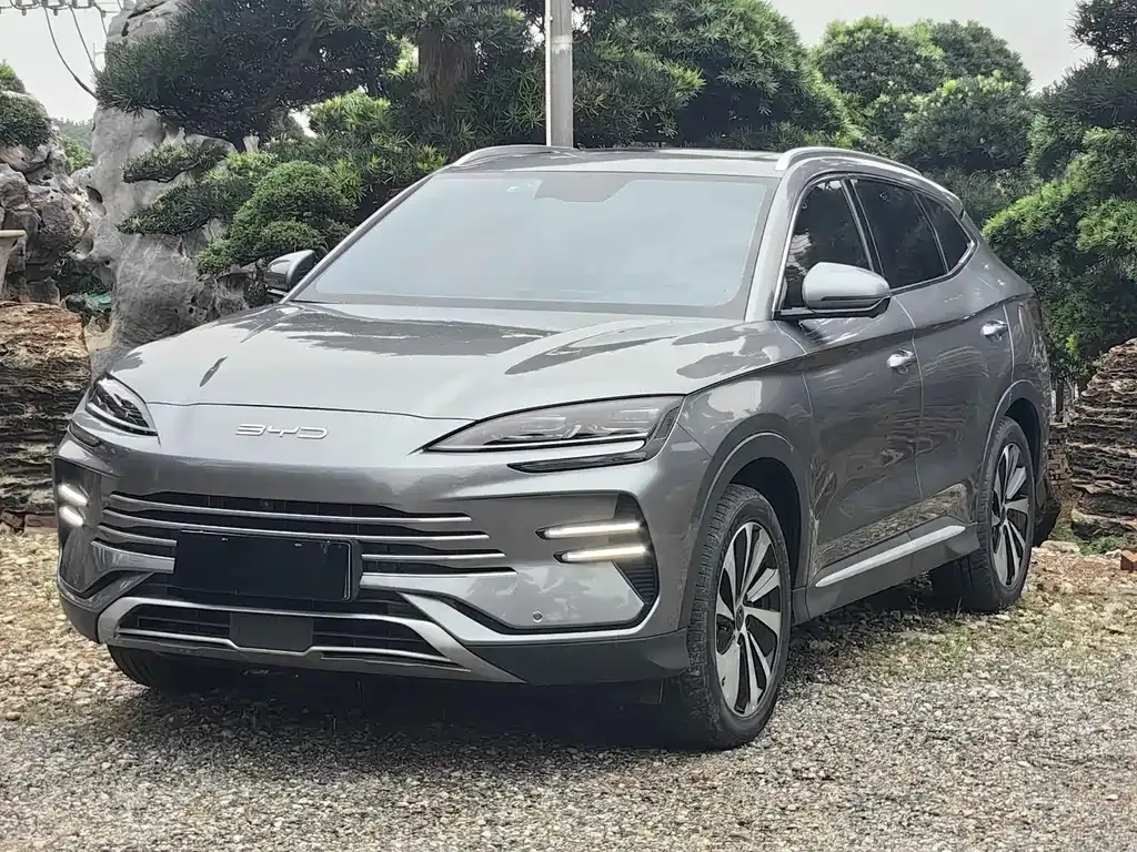 BYD PLUS New Energy — фото 1
