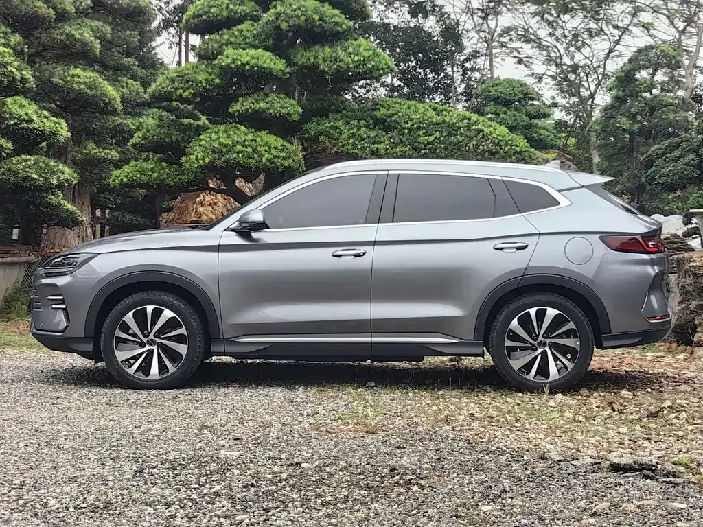 BYD PLUS New Energy — фото 10