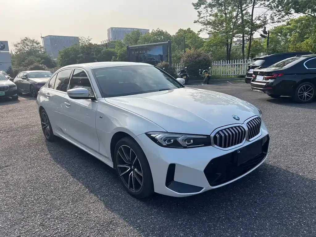 BMW 3 Series 2023 из CN, фото 8