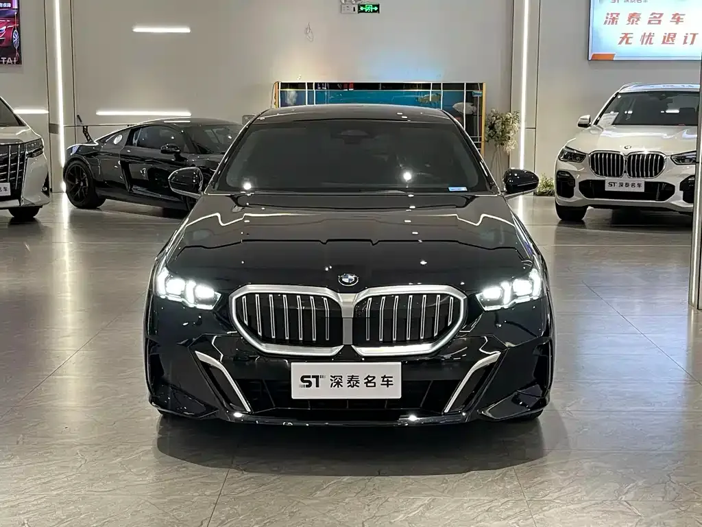 BMW 5 Series 2024 из CN, фото 6