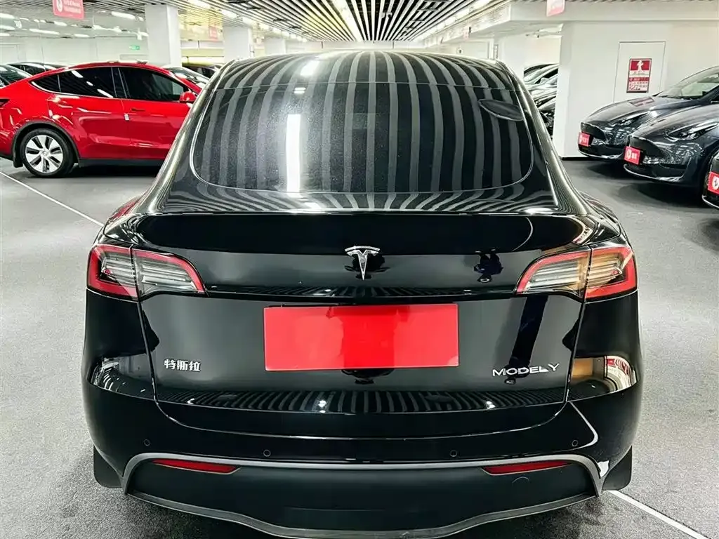 Tesla Model Y — фото 6