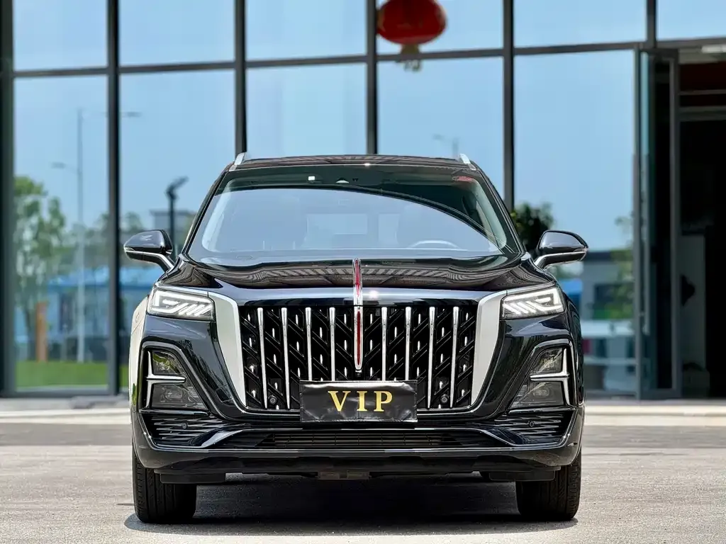 Hongqi HS5 2024 из CN, фото 8