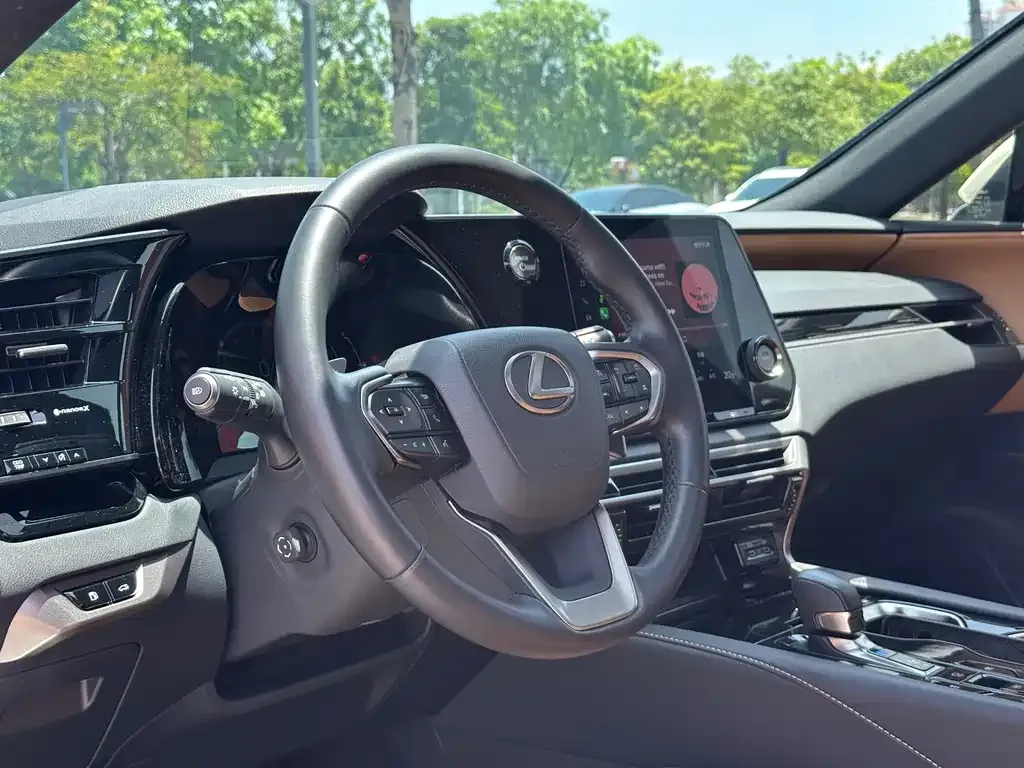Lexus RX 2024 из CN, фото 8