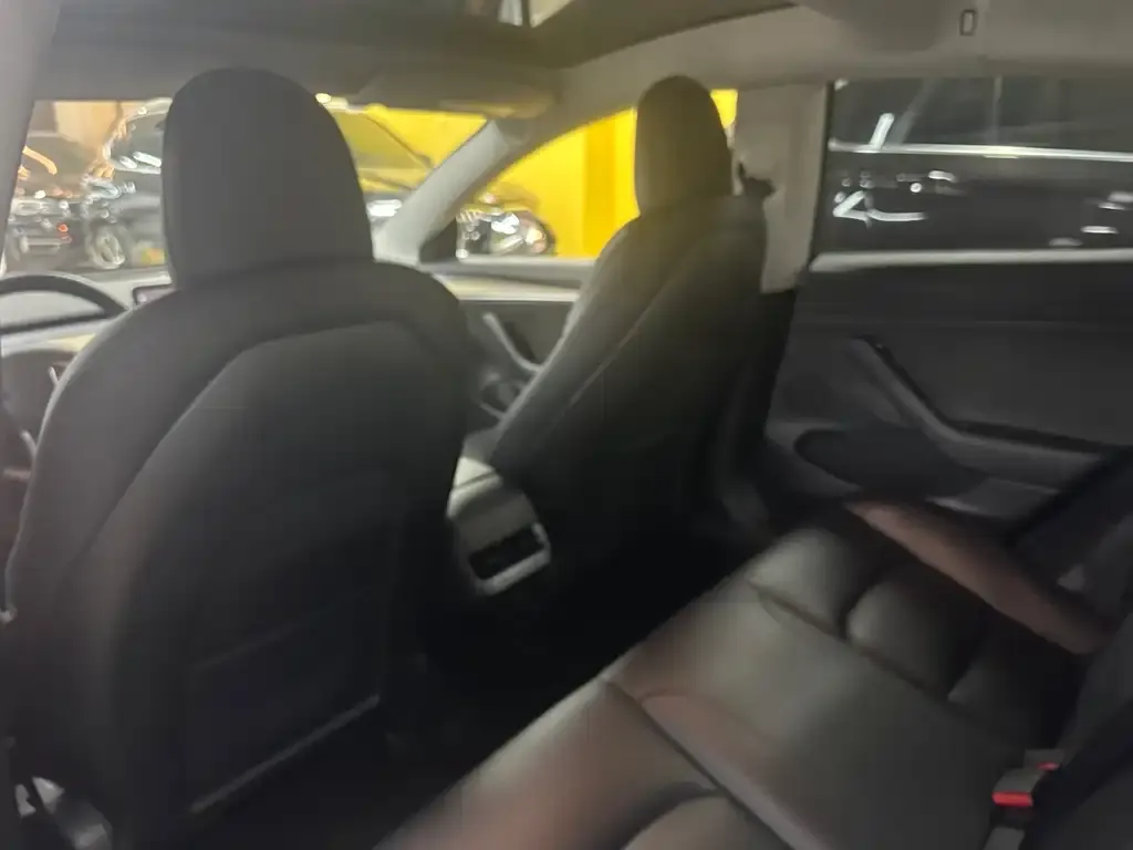 Tesla Model 3 2022 из CN, фото 3
