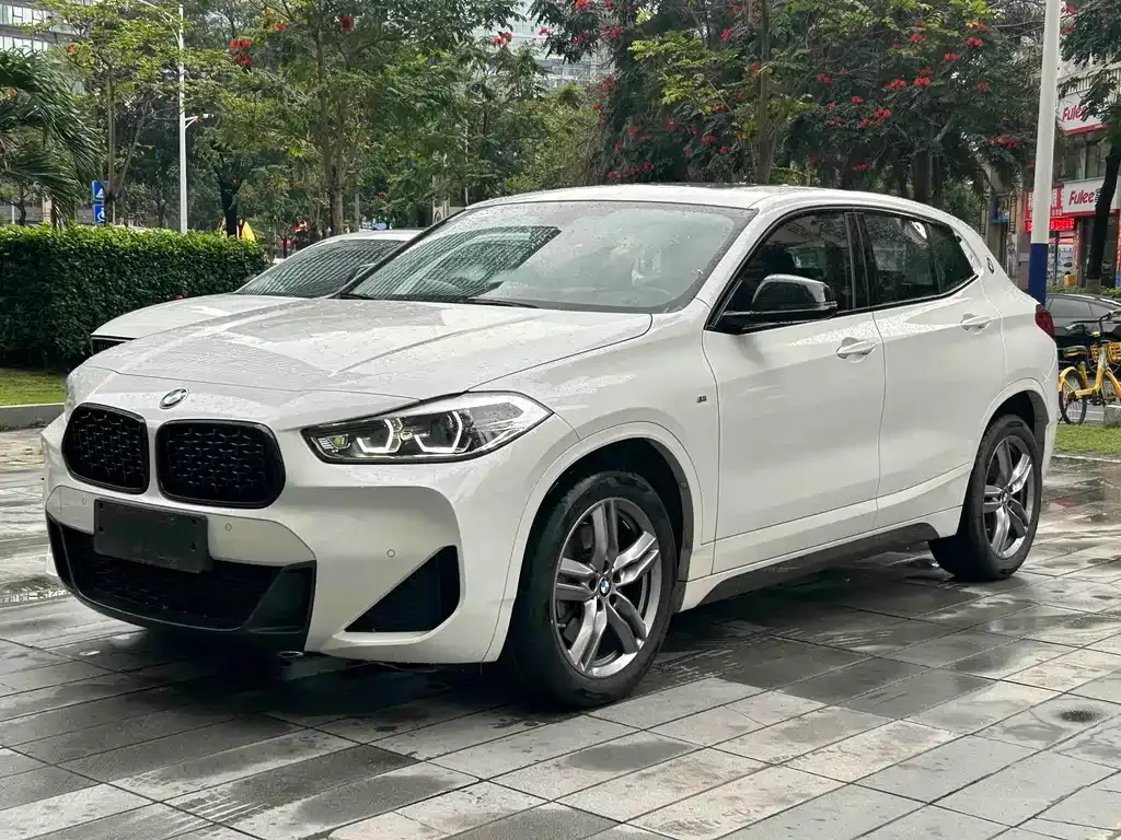 BMW X2 2024 из CN, фото 1