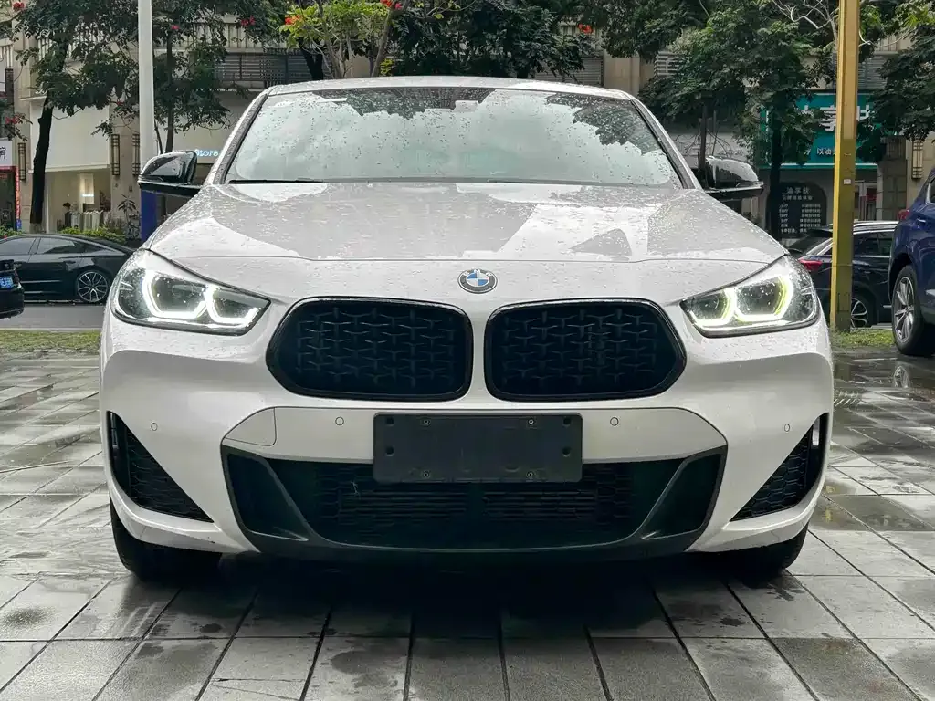 BMW X2 2024 из CN, фото 2