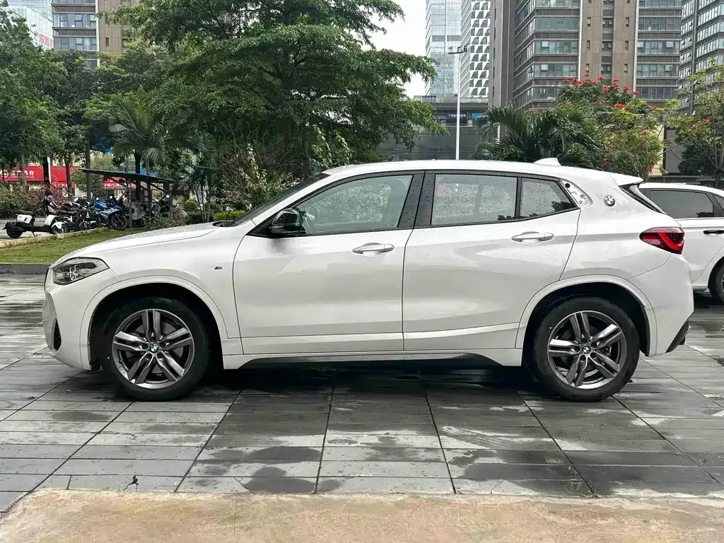 BMW X2 2024 из CN, фото 6