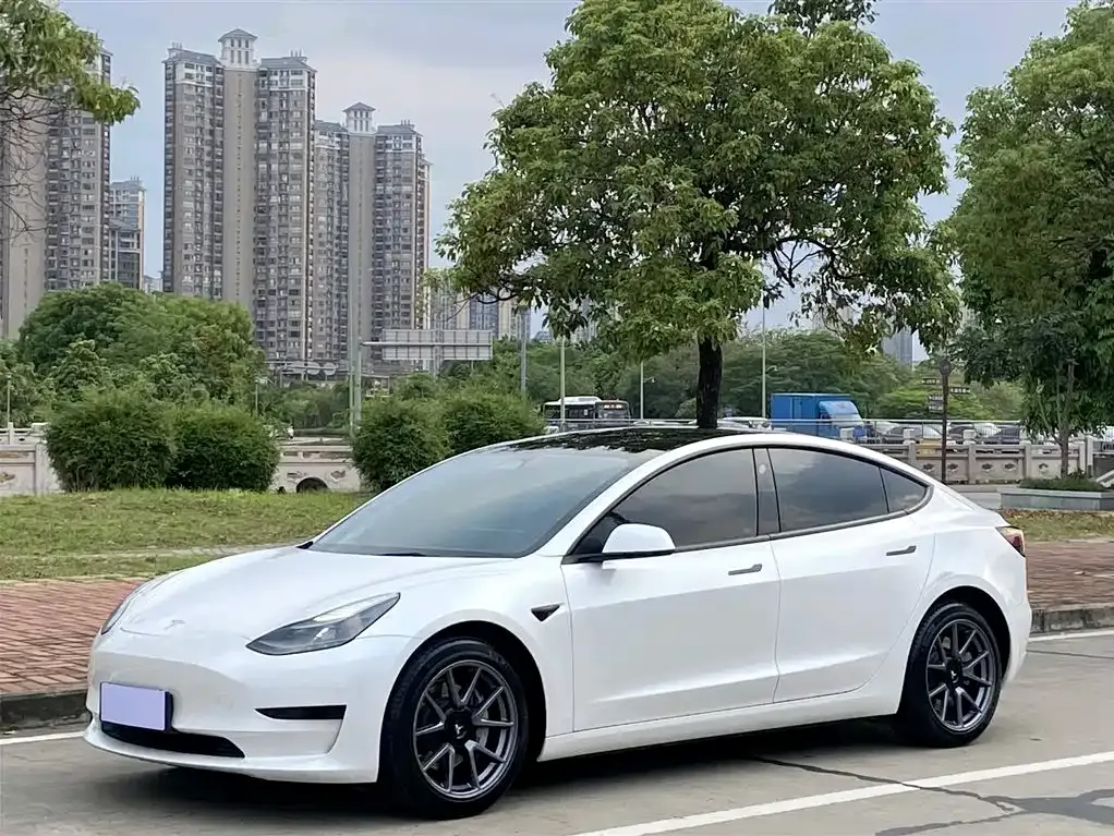 Tesla Model 3 2023 из CN, фото 1