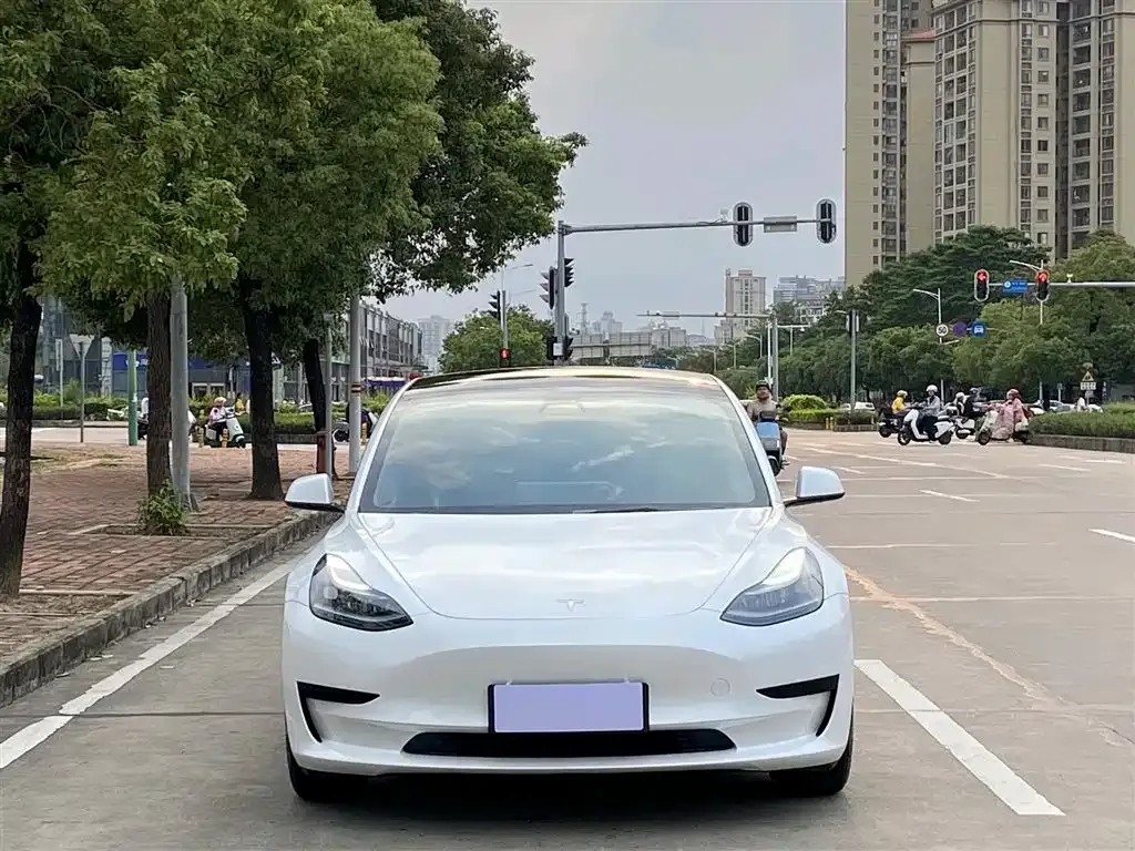 Tesla Model 3 2023 из CN, фото 5