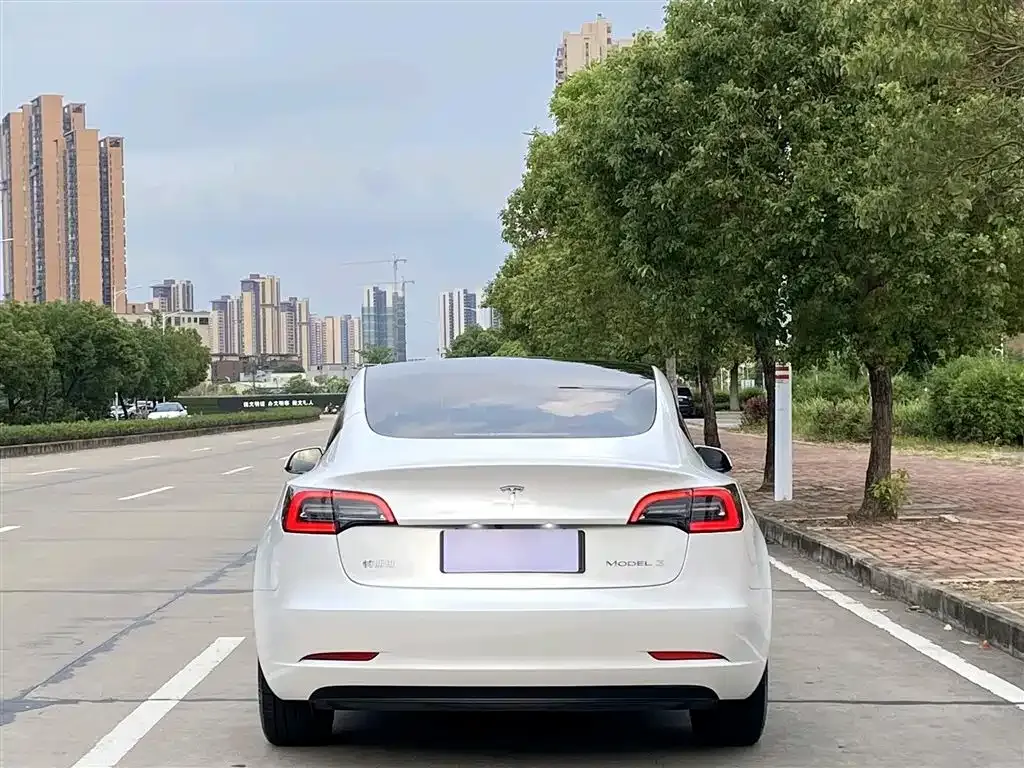 Tesla Model 3 2023 из CN, фото 2