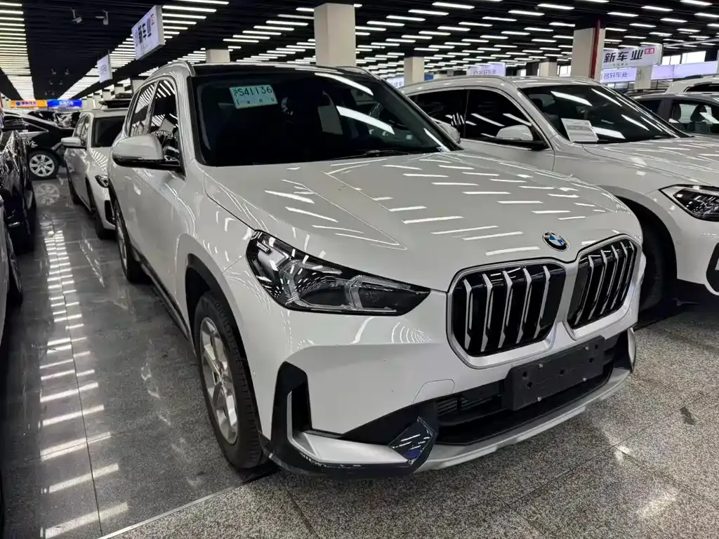 BMW X1 2023 из CN, фото 6